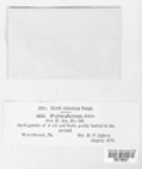 Image Associated With the Occurence